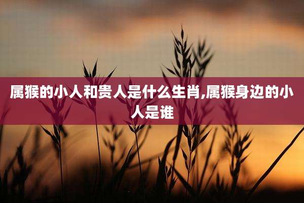 属猴的小人和贵人是什么生肖,属猴身边的小人是谁