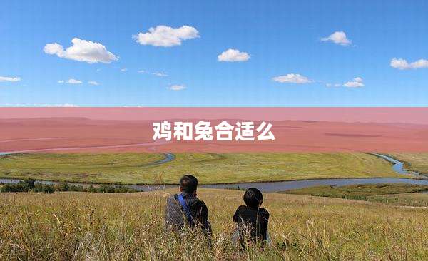 鸡和兔合适么