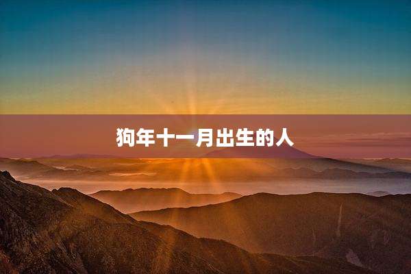 狗年十一月出生的人