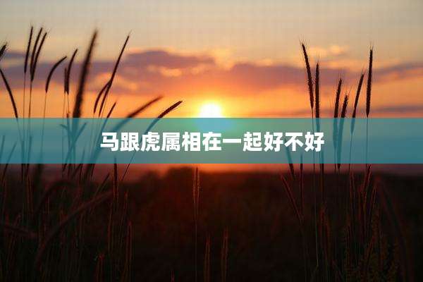 马跟虎属相在一起好不好