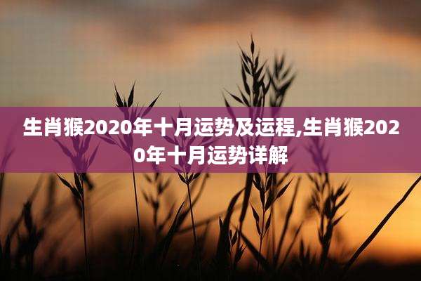 生肖猴2020年十月运势及运程,生肖猴2020年十月运势详解