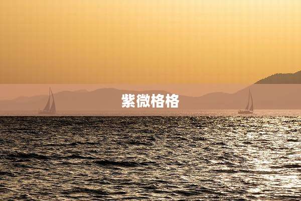 紫微格格