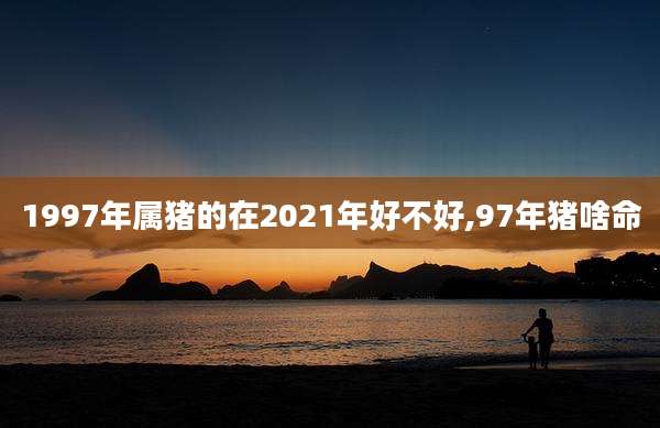 1997年属猪的在2021年好不好,97年猪啥命