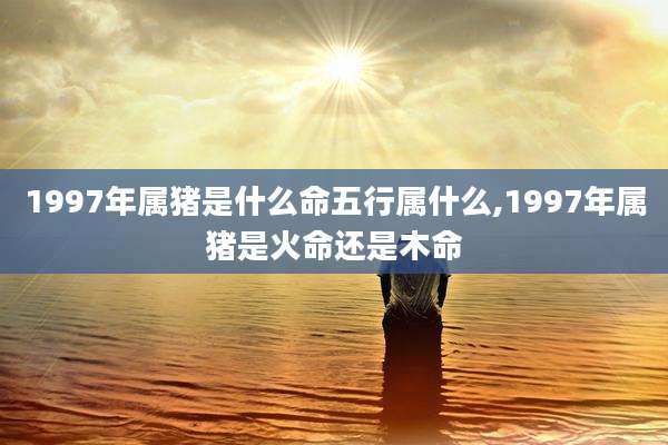1997年属猪是什么命五行属什么,1997年属猪是火命还是木命