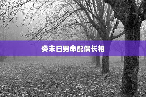 癸未日男命配偶长相