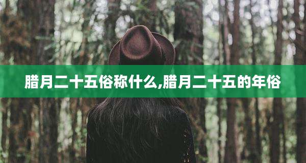 腊月二十五俗称什么,腊月二十五的年俗