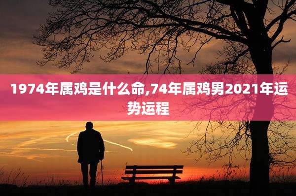 1974年属鸡是什么命,74年属鸡男2021年运势运程