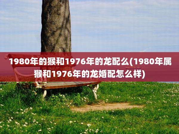 1980年的猴和1976年的龙配么(1980年属猴和1976年的龙婚配怎么样)