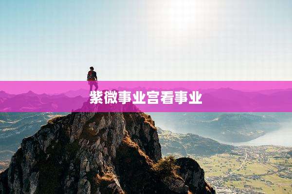 紫微事业宫看事业