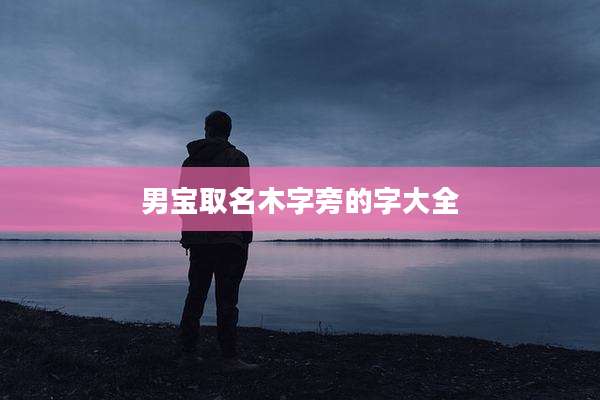男宝取名木字旁的字大全
