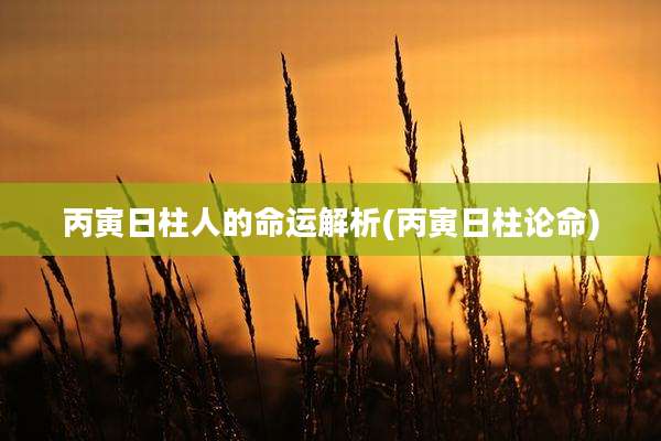 丙寅日柱人的命运解析(丙寅日柱论命)