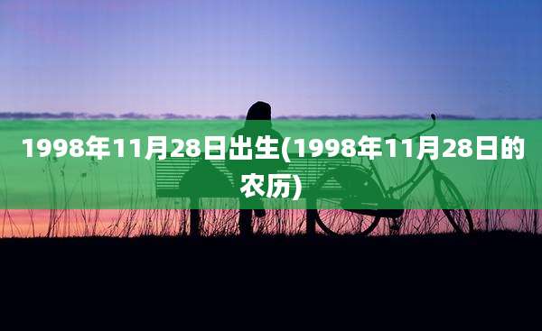 1998年11月28日出生(1998年11月28日的农历)