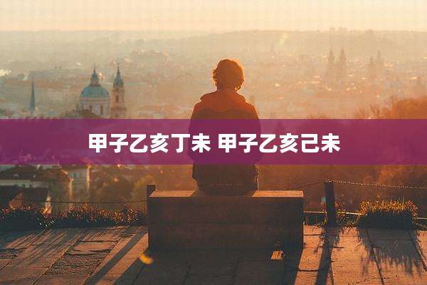 甲子乙亥丁未 甲子乙亥己未
