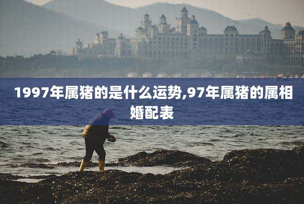 1997年属猪的是什么运势,97年属猪的属相婚配表