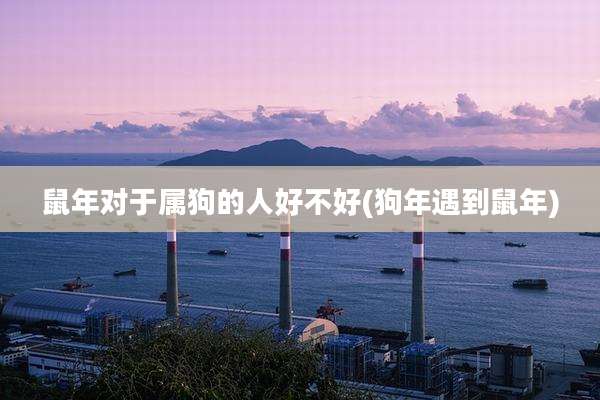 鼠年对于属狗的人好不好(狗年遇到鼠年)
