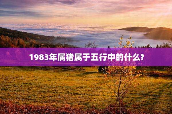 1983年属猪属于五行中的什么?
