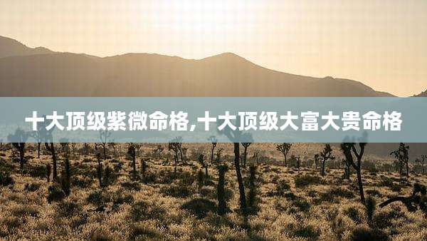 十大顶级紫微命格,十大顶级大富大贵命格