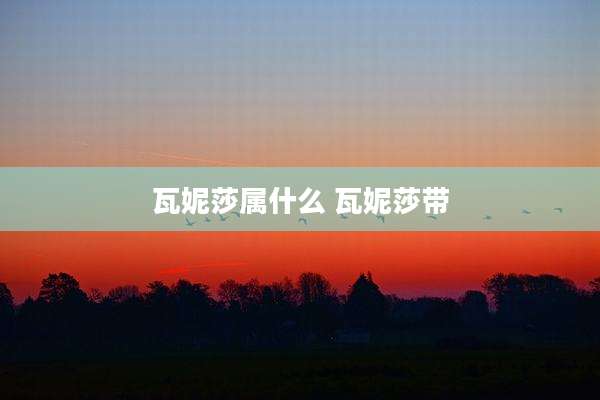 瓦妮莎属什么 瓦妮莎带