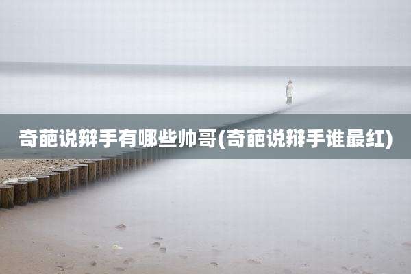 奇葩说辩手有哪些帅哥(奇葩说辩手谁最红)
