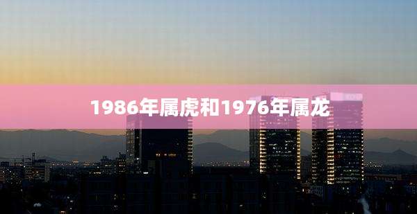 1986年属虎和1976年属龙