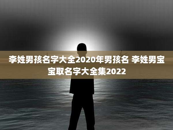 李姓男孩名字大全2020年男孩名 李姓男宝宝取名字大全集2022