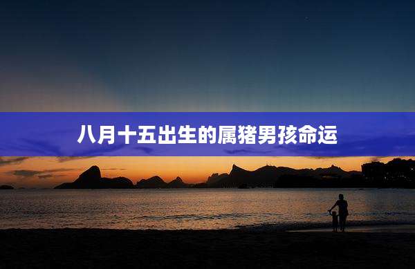 八月十五出生的属猪男孩命运