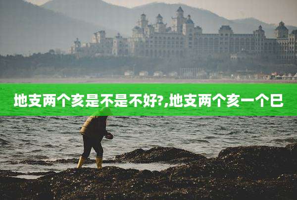 地支两个亥是不是不好?,地支两个亥一个巳