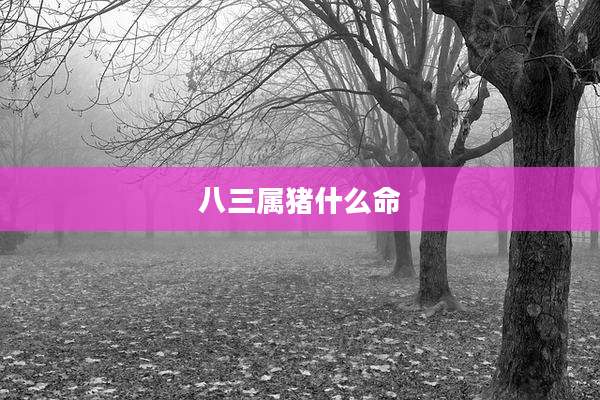 八三属猪什么命