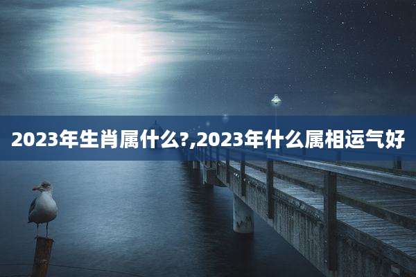2023年生肖属什么?,2023年什么属相运气好