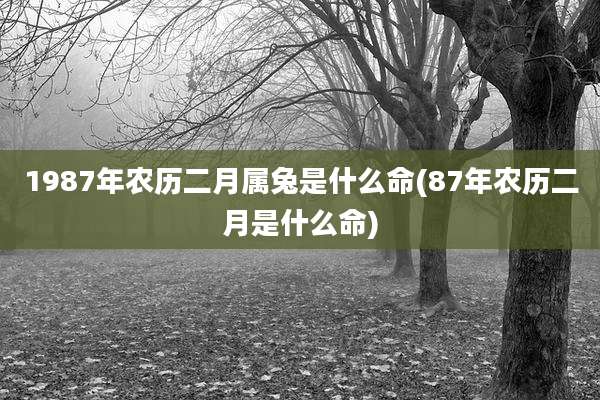1987年农历二月属兔是什么命(87年农历二月是什么命)