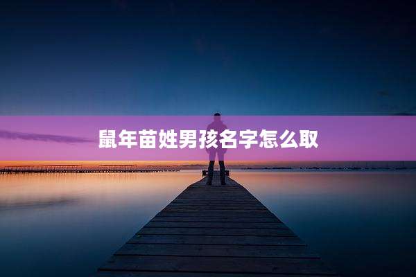 鼠年苗姓男孩名字怎么取