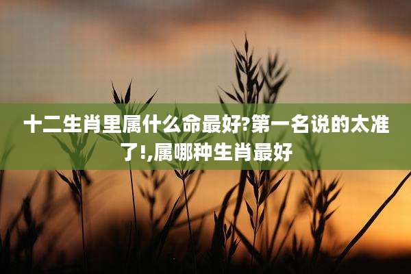 十二生肖里属什么命最好?第一名说的太准了!,属哪种生肖最好