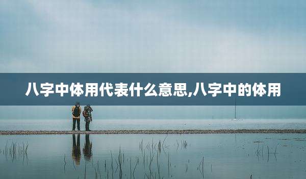 八字中体用代表什么意思,八字中的体用