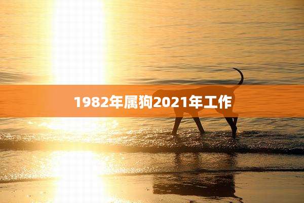 1982年属狗2021年工作