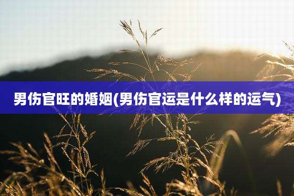 男伤官旺的婚姻(男伤官运是什么样的运气)