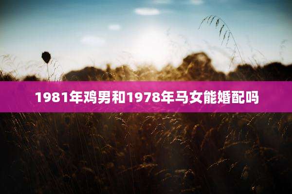 1981年鸡男和1978年马女能婚配吗