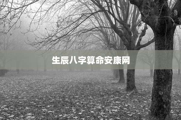 生辰八字算命安康网