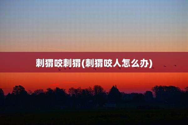 刺猬咬刺猬(刺猬咬人怎么办)