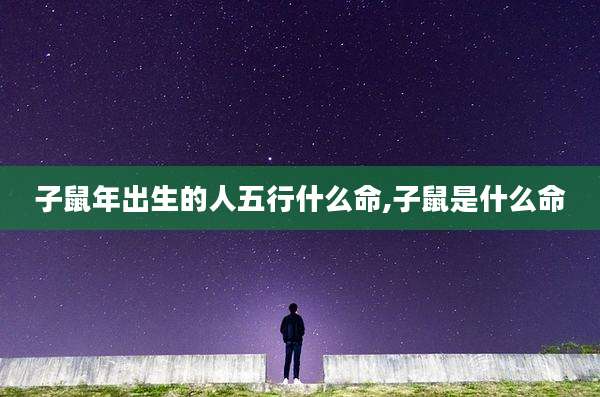 子鼠年出生的人五行什么命,子鼠是什么命