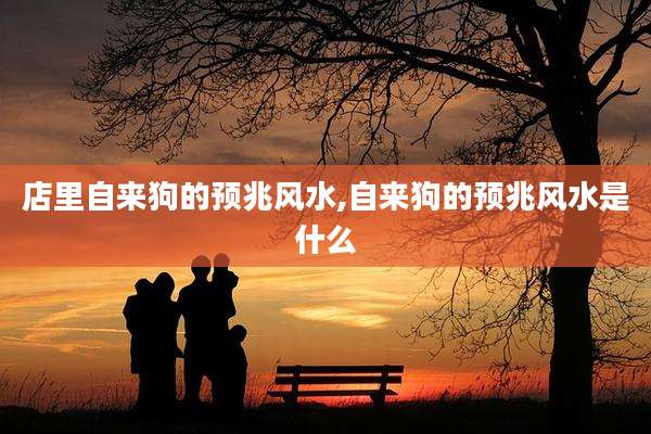 店里自来狗的预兆风水,自来狗的预兆风水是什么