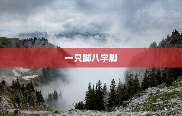 一只脚八字脚