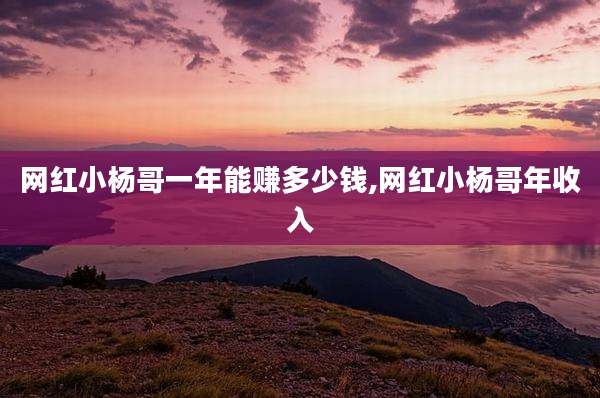 网红小杨哥一年能赚多少钱,网红小杨哥年收入