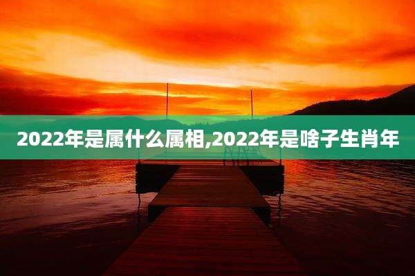 2022年是属什么属相,2022年是啥子生肖年