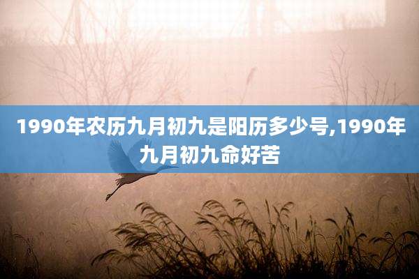 1990年农历九月初九是阳历多少号,1990年九月初九命好苦