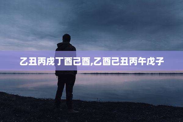 乙丑丙戌丁酉己酉,乙酉己丑丙午戊子