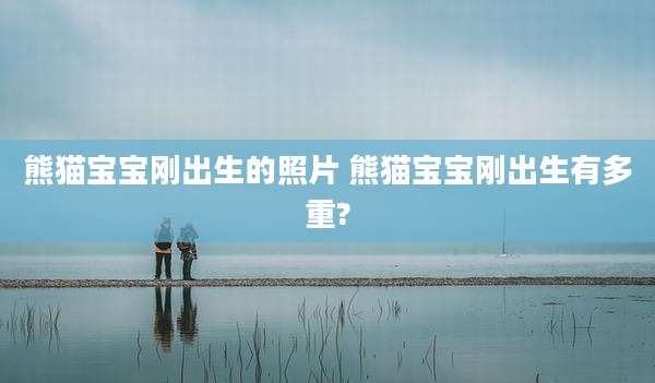 熊猫宝宝刚出生的照片 熊猫宝宝刚出生有多重?