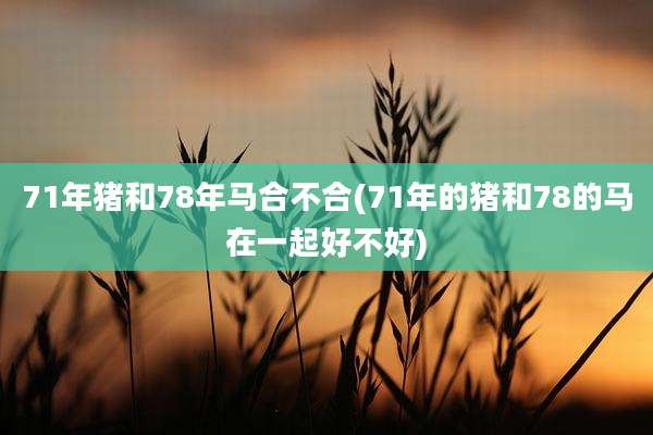71年猪和78年马合不合(71年的猪和78的马在一起好不好)