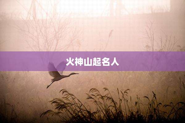 火神山起名人