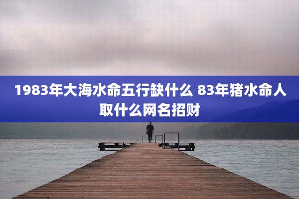 1983年大海水命五行缺什么 83年猪水命人取什么网名招财