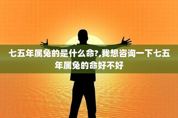 七五年属兔的是什么命?,我想咨询一下七五年属兔的命好不好